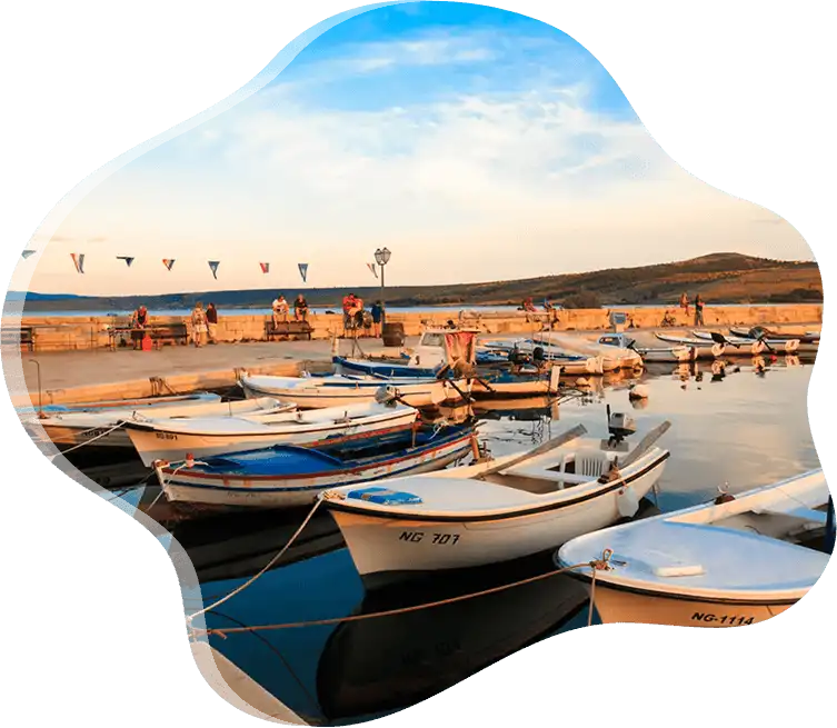 boats